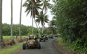 Mud Buggies : Rarotonga : Business News Photos : Richard Moore : Photographer